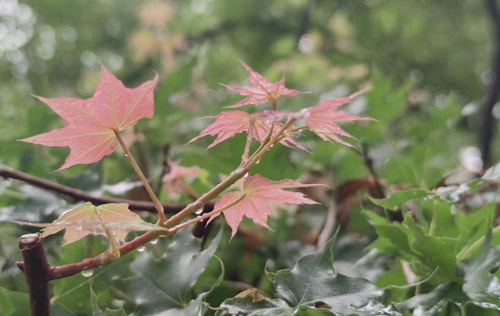 在職場(chǎng)上，長(zhǎng)得好看，真的能當(dāng)飯吃嗎？為你揭秘拉開職場(chǎng)差距的真正原因?。?！