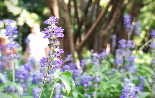 人社部發(fā)布全國各地最低工資標準