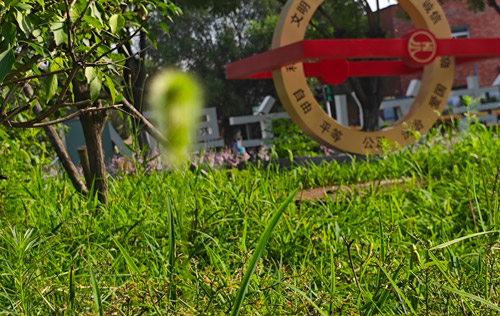 全國31省區(qū)市企退人員養(yǎng)老金調整到位