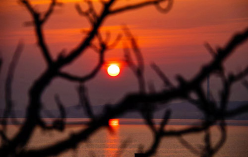 稅務登記辦理流程有哪些?