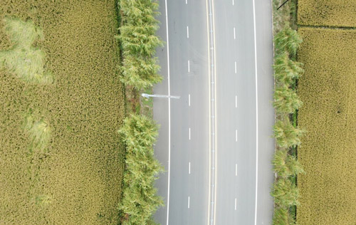 關于沈陽勞務派遣單位法定責任相關問題解答