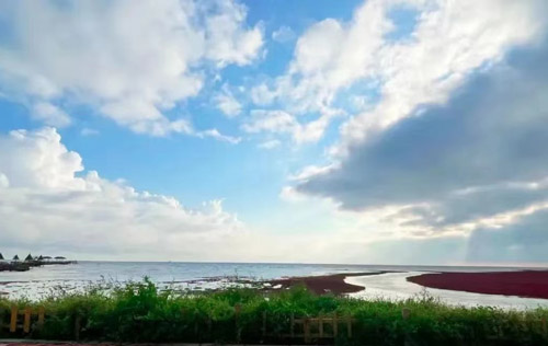 沈陽勞務(wù)派遣公司是如何維護人力資源個體的合法權(quán)益？