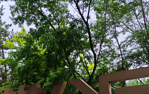 沈陽(yáng)勞務(wù)派遣公司的服務(wù)內(nèi)容概述