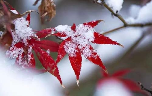 沈陽(yáng)工傷風(fēng)險(xiǎn)外包對(duì)于企業(yè)來(lái)說(shuō)有哪些優(yōu)勢(shì)？