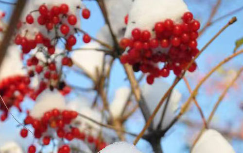 沈陽靈活用工有哪些優(yōu)勢？